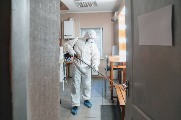 Best Mold Damage Restoration  in Lockhart, FL