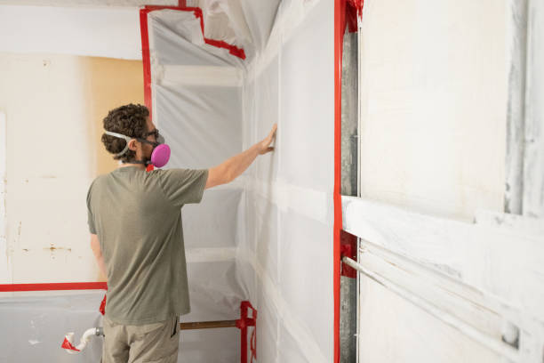 Trusted Lockhart, FL Mold Removal Experts