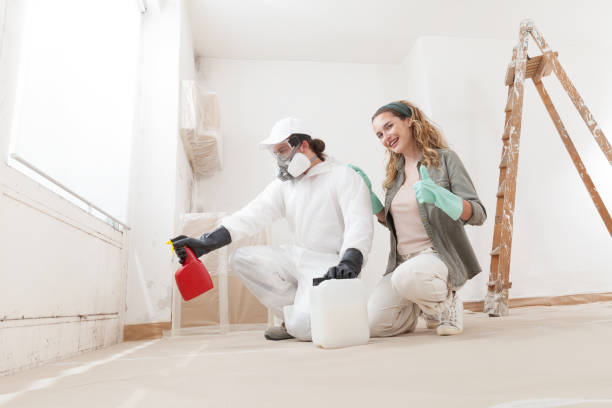 Best Comprehensive Air Testing for Mold Contaminants  in Lockhart, FL