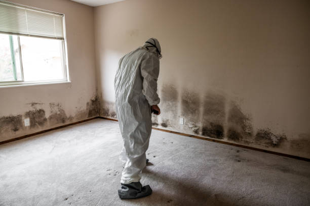 Best Mold Removal for HVAC Installations  in Lockhart, FL