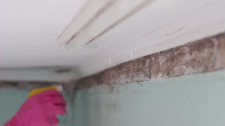 Best Airborne Mold Testing  in Lockhart, FL